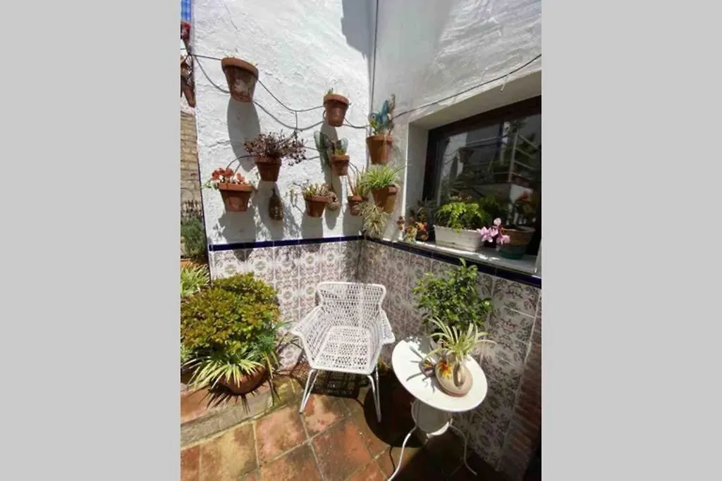 Buddhaloungeapartments 3 Buddhaloungeapartments #3 Primera Planta Ronda