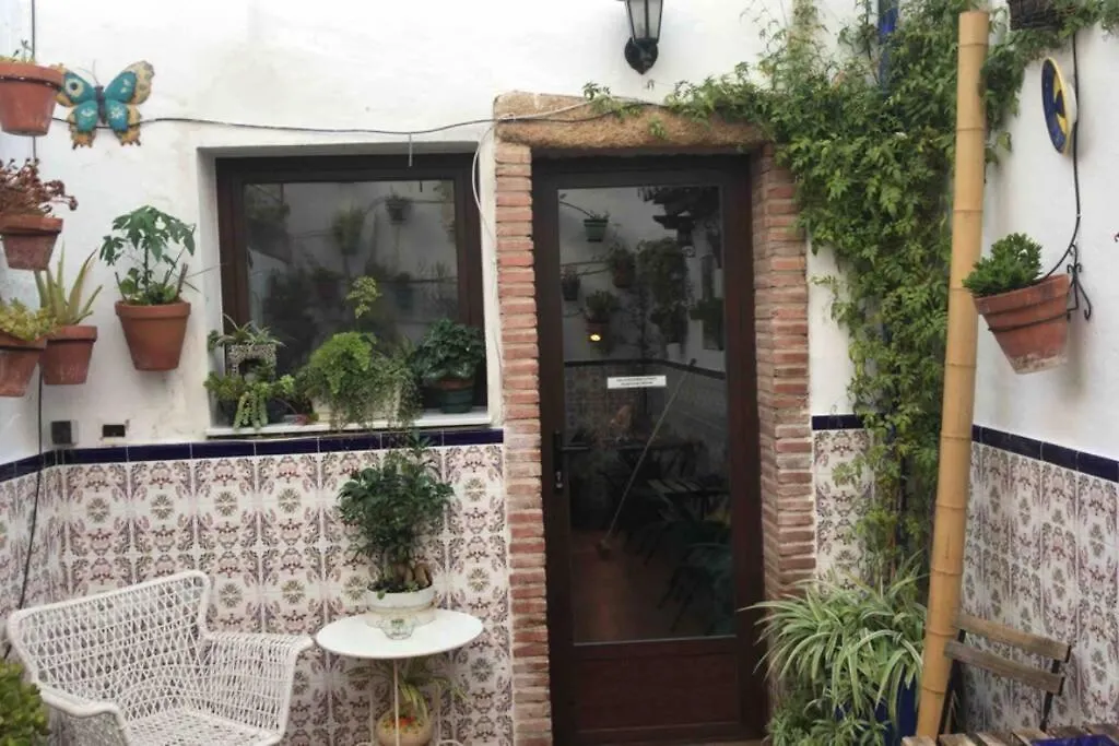 Apartment Buddhaloungeapartments 3 Buddhaloungeapartments #3 Primera Planta Ronda