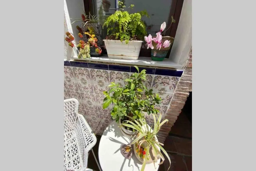 Buddhaloungeapartments 3 Buddhaloungeapartments #3 Primera Planta Ronda
