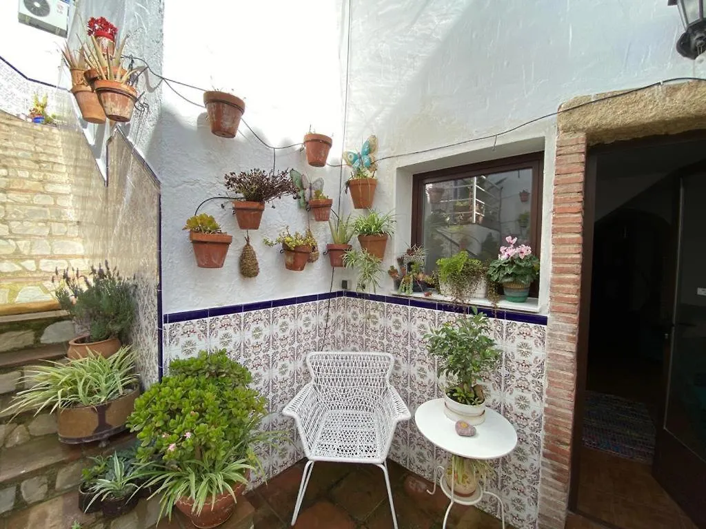 Apartment Buddhaloungeapartments 3 Buddhaloungeapartments #3 Primera Planta Ronda